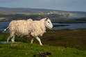 058 Isle of Skye